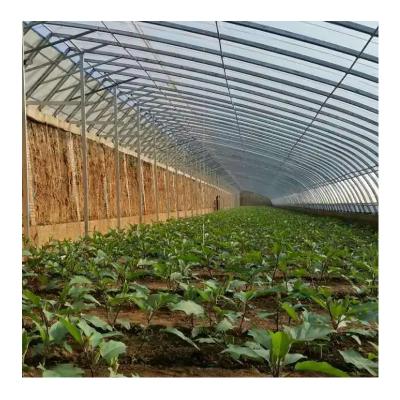 China ZD Hot Sale Multi-span Tunnel Agricultural Winter Greenhouse For Snail Greenhouse Garden Greenhouse For Sale for sale