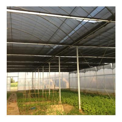 China PE ZD low cost green house for sale/hydroponic green house for sale green house/venlo Multi-span agricultural greenhouses for sale