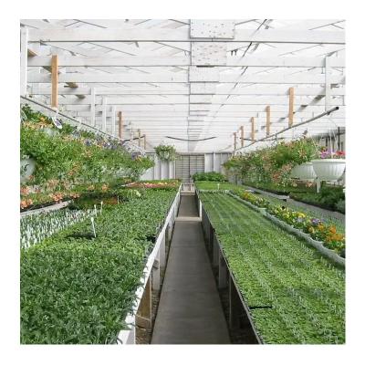 China Stable Structure Easily Assembled ZD-DP32 In Running Commercial Fast Delivery Plastic Sheet Hydroponic Green House Multi-span Agricultural Greenhouses for sale