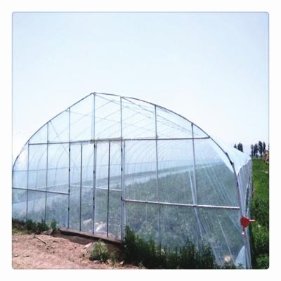 China China Vegetable Hot Sale Flower Fruit Greenhouses Single-Span Agricultural Greenhouses Tunnel Greenhouse for sale