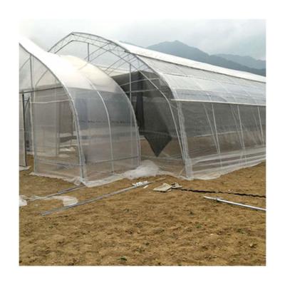 China Vegetable High Quality Greenhouses Fruits Flowers Tunnel Greenhouse Agricultural Greenhouse Frame for sale