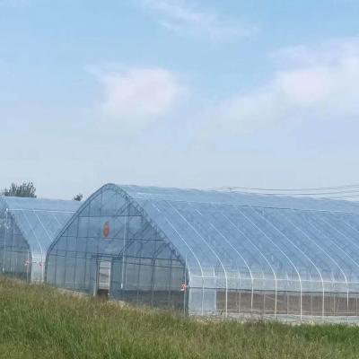 China Vegetable Chinese Agricultural Greenhouse Greenhouses Greenhouse Plant Outlet Flowers Fruits Farming Equipment for sale