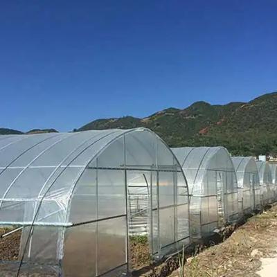 China Mini Greenhouse Vegetable Hot Greenhouse Garden Farm Equipment Sale Flower Fruit Greenhouse for sale