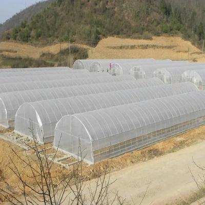 China Stable Structure Easily Assembled Hot Sale Tunnel Greenhouse For Sale Green Houses Agriculture Commercial Greenhouse Agricultural Greenhouses for sale