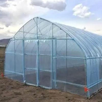 China Vegetable Greenhouse Vegetable Greenhouses Hot Garden Farm Sale Flowers Fruits Agricultural Equipment for sale