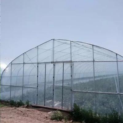 China Hot Sale Single-span Greenhouses Greenhouses Green Houses Fruits Vegetable Flowers Commercial Mini Greenhouse Agriculture for sale