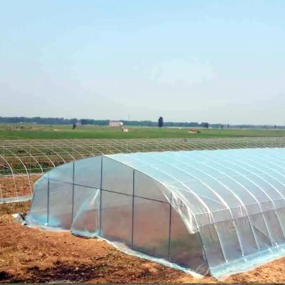 China Stable Structure Easily Collected Chinese Manufacturer Of Tunnel Greenhouse For Sale Cheap Plastic Sheet Greenhouse Greenhouse for sale