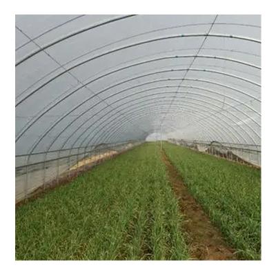 China Stable Structure Easily Assembled High Quality Low Cost Greenhouses Agricultural Greenhouse For Tomato Steel Pipe Greenhouse for sale