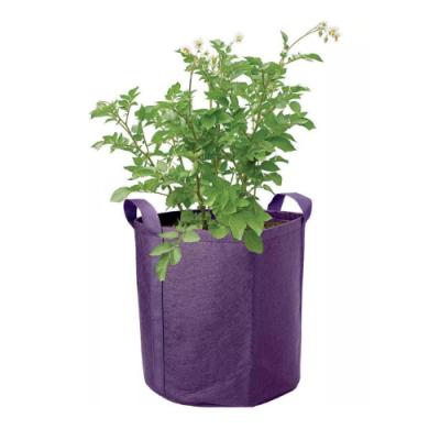 China Breathable Potato Grow Bag Fabric Plant Bag Poly Mango Grow Bag for sale