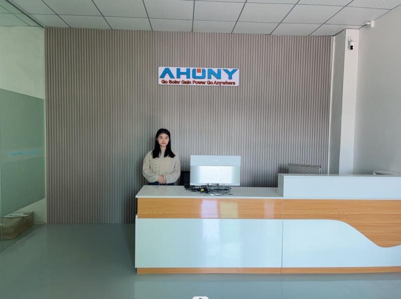 Fornitore cinese verificato - Shenzhen Ahony Power Co., Ltd.