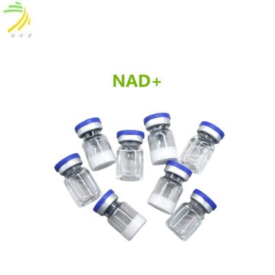 China 95% NAD+ 750mg/Vial Peptide White Lyophilized Powder CAS 53-84-9 for sale