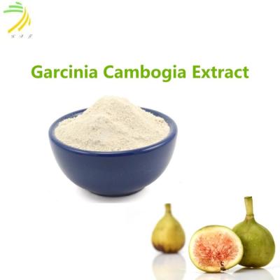 China 50% Pure Fruit Garcinia Cambogia Extract Hydroxycitric Acid HCA Powder for sale