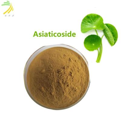 China CAS 16830-15-2 Herbal Extract Asiaticoside Brown Powder With 95% Assay for sale