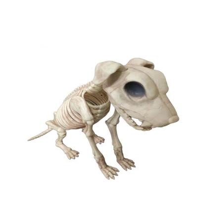 China PPHM/PPB Cheap Price Plastic Skeletal Teaching Resource Animal Skeleton Model Biology Dog Skeleton Model For Sale for sale