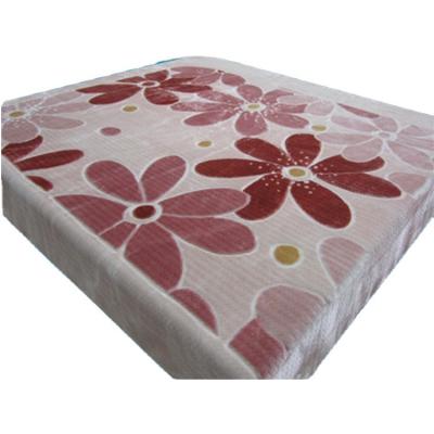 China 100% Mink Raschel Blanket Polyester Wholesale High Quality PORTABLE Raschel Blanket Super Soft for sale