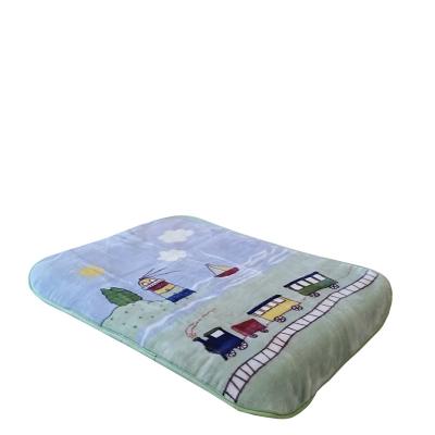 China Hot Sale Polyester Raschel Children's Wearable Fun Soft And Intimate Blanket for sale