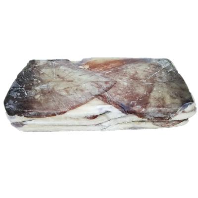 China Giant squid nutritious frozen wings factory sale Indian Ocean frozen squid wing for sale