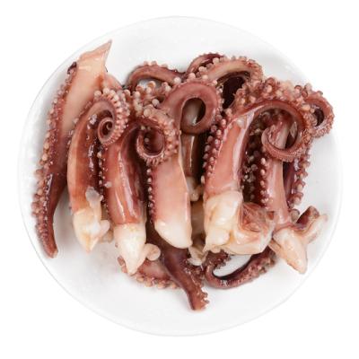 China Frozen Giant Squid Tentacles Leg Ballerina Cut Dosidicus Gigas Nutritious Frozen Squid Tentacles for sale