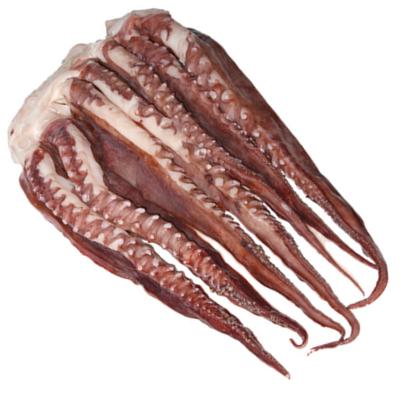 China BQF Giant Squid Frozen Tentacles Nutritious Frozen Squid Tentacle Ballerina Cut Dosidicus Giga for sale