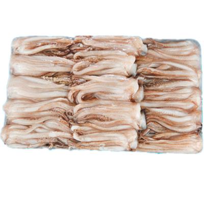 China Illex Indian Ocean Nutritious Frozen Squid Tentacles Frozen Squid Tentacles for sale