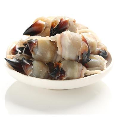 China Nutritious frozen equator squid mouth squid beak for sale