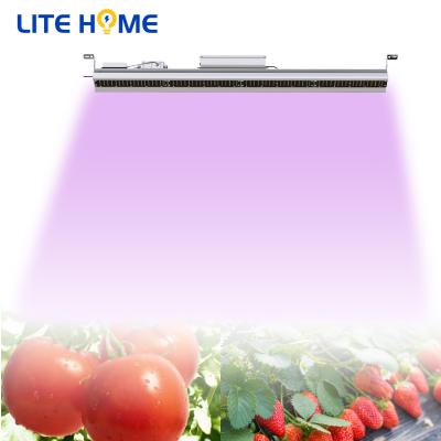 China Start From Seed Grow-Anywhere LiteHome LED Light and Hydroplanter LED Plant Grow Light 240 Watt Plant Growth Led Linear Light for sale