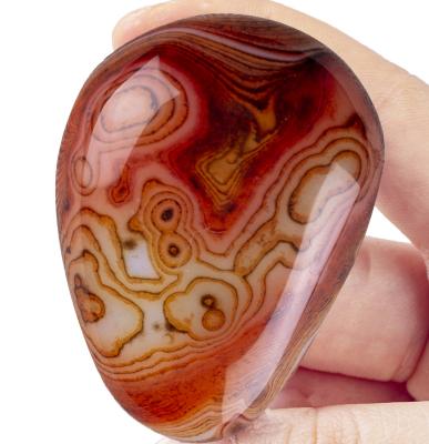 China Pedra de Palma Carneliana Para Equilibrar os Chakras à venda