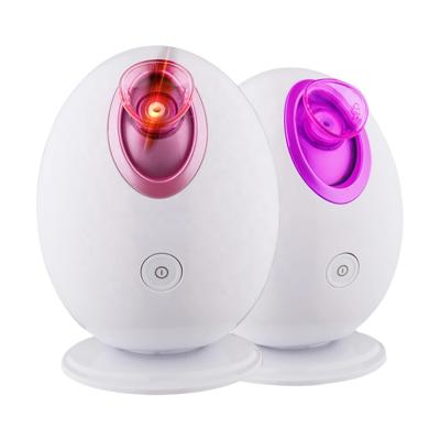 China Moisturizer Egg Shape Instrument Nano Ionic Hot Egg Beauty Skin Care Household Sprayer Facial Mist Steamer for sale