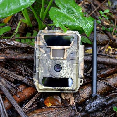 China Waterproof/Waterproof Batteries Powered Chinese Infrared Video Animal Monitoring Trail Manufacturer Wireless Hunting Cameras for sale