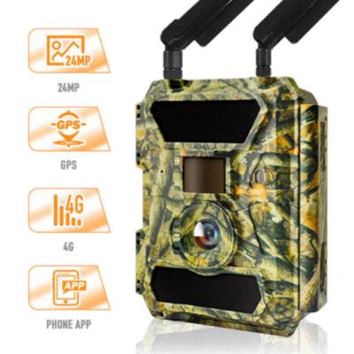 China App Setting Willfine Full Support 1080P HD Send Vedio Time Lapse Lte Hidden Trail Camera for sale