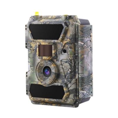 China GPS Cloud 4G Trail Camera Willfine Other Products Forest Security Hidden Camera 1080p wildcamera 4G cellular trail hunting cam for sale