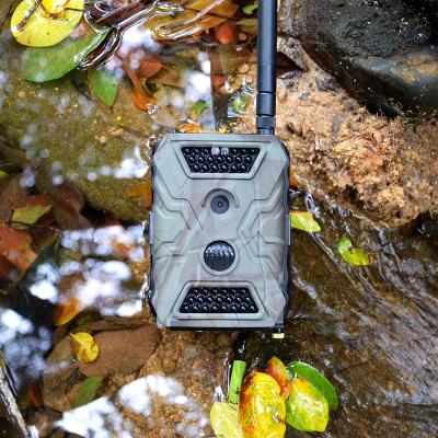 China Weather-Resistant Long Standby 15 Meters High Resolution Infrared Range Clear Night Vision Digital Hunting Camera for sale