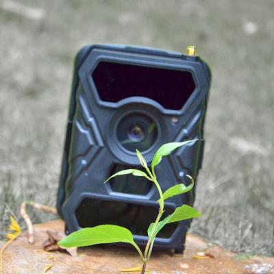 China 2017 Weather-Resistant Most Cost-Effective Outdoor Waterproof Night Vision Motion-Activate Forest Security Observation Camera Wild Animal Trap for sale