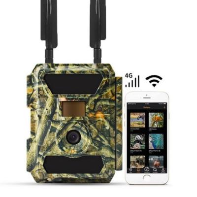 China Weather-resistant 4g Lte SMTP MMS Gps Ip66 Camera Forest Games for sale