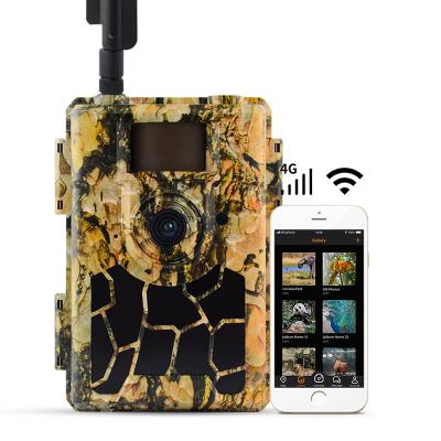 China 1080P High Definition Weather-Resistant IP66 Waterproof Spy Hidden Animals Hunting Trail Camera 4g for sale