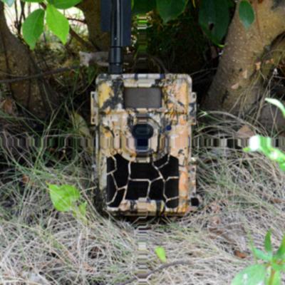 China Weather-Resistant Outdoor Cellular Wildlife Capture 4g Trail Cam Night Vision Hunting Action Camera for sale