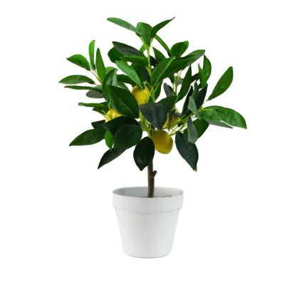 China Mini minimalist artificial lemon trees for mall decoration for sale