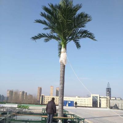 China High quality minimalist artificial palm trees for park decoration for sale