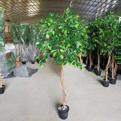 China Minimalist UV resistance small artificial green ficus tree banyan tree for hotel decoration for sale