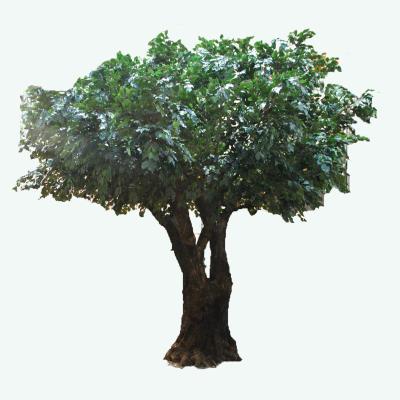 China Office/Cafe/Mall Artificial Artificial Tree Indoor PE Green Leaf Plants Small Banyan Tree For Home Decor for sale