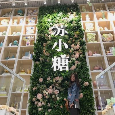 China Environmental artificial green wall for shopping mall decoration for sale