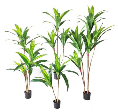 China Minimalist Artificial Dracaena Fragrans Manufacturing in Shenzhen for sale