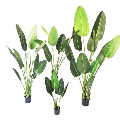 China Minimalist 160 Cm Plastic Banana Bonsai Tree Plants Artificial Leaf Plants Indoor Banana Tree for sale