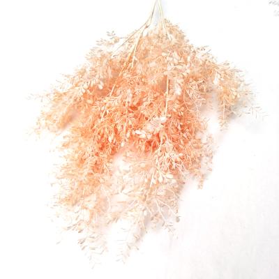 China New Arrival Minimalist Design Artificial Silk Flowers Artificial Flower Decorative Branches for sale