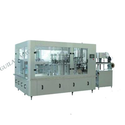 China Professional Food Water Treatment Production 3l-10l Water Production Line Processing Line for sale