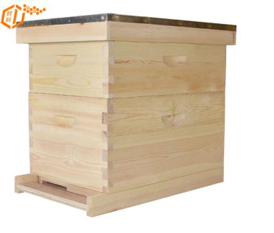 China 2020 hot sale beekeeping equipment 10 frames Australian beehive for sale