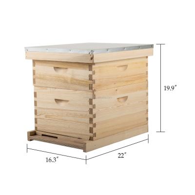 China Beekeeping tool newzealand pine 2 levels10 frame Langstroth beehive box en venta