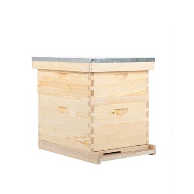 China Apicultura Beekeeping Equipment 10 Frames Two Layers Langstroth Bee Hive Beekeeping en venta