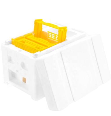 China Apiculture Beekeeping Equipment Queen Bee Mini Mating Box zu verkaufen