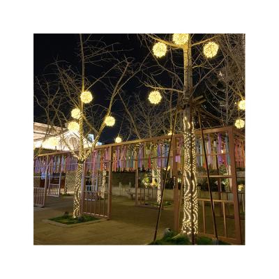 China Professional Outdoor Decoration Professional Manufacture Micro Lights Led String Low Voltage Leather Wire Light for sale